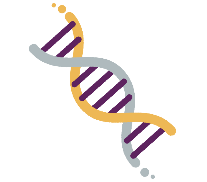 imagen del ADN 