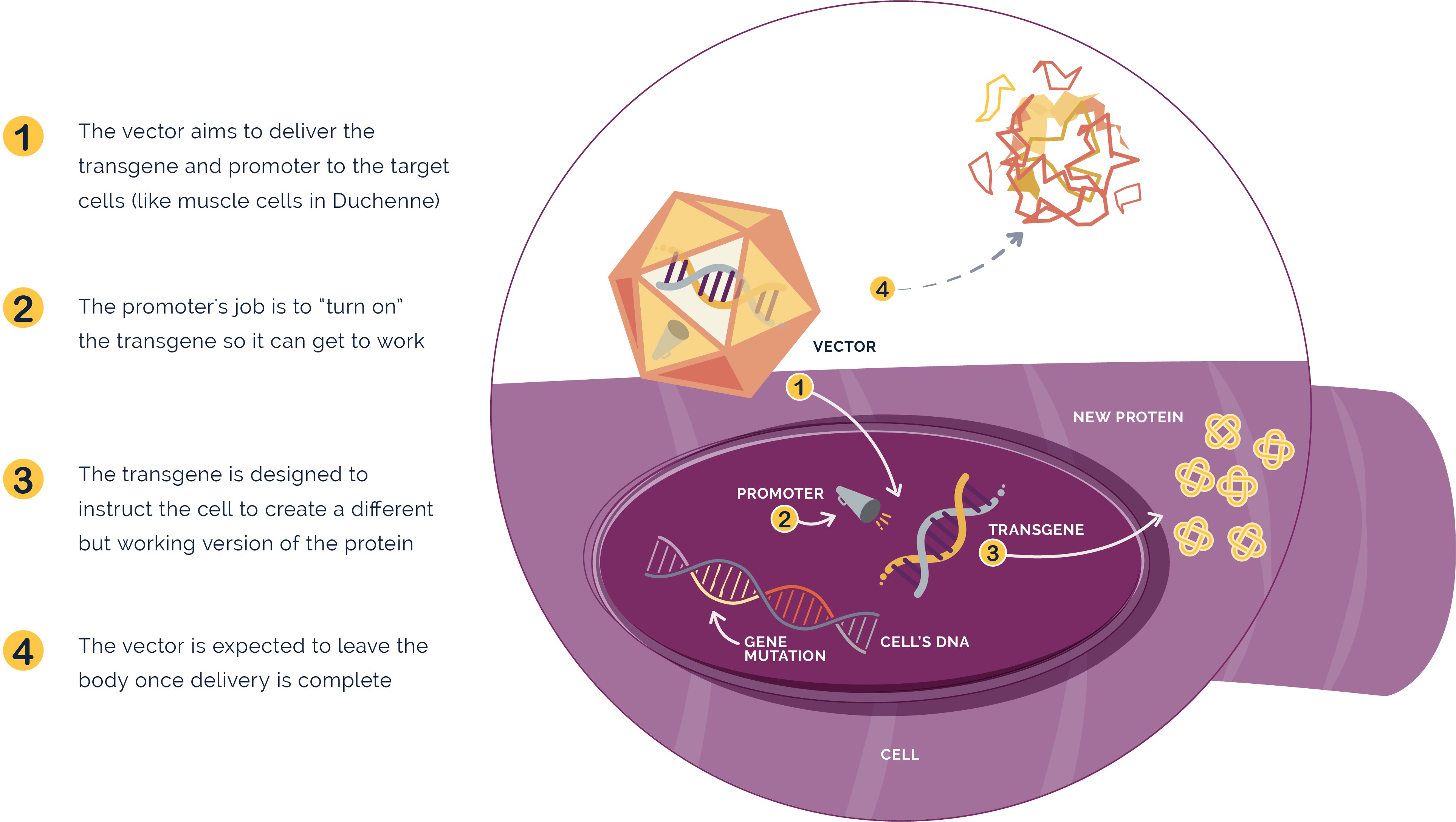 how it works diagram