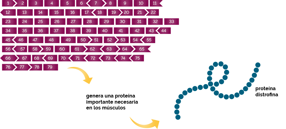 mutation
