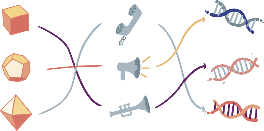 gráfico de las diferentes combinaciones de vector, promotor y transgén