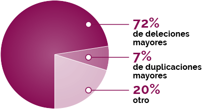 Gráfico circular que muestra los tipos de mutaciones genéticas: de deleciones - 72%, de duplicaciones - 7%, otro - 20%