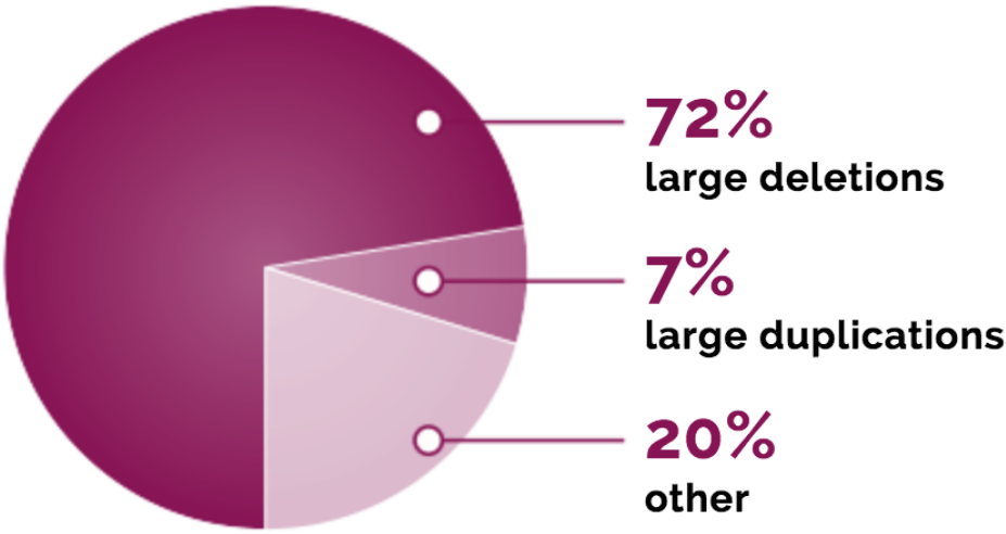Graphic of a pie chart showing the types of genetic mutations. 72% Large deletions: One or more exons are missing from the dystrophin gene; 7% Large duplications: One or more exons have extra copies in the dystrophin gene; 20% Other changes: Small changes, such as tiny deletions or changes in a single letter in the instructions